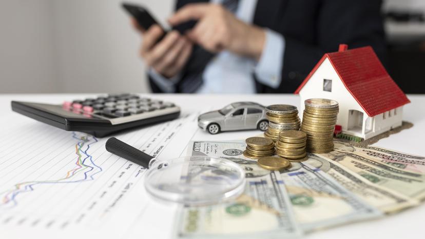 loan adviser undefined