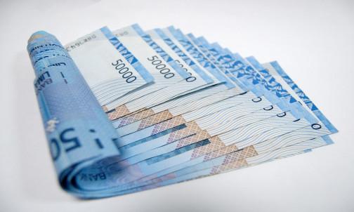 loan adviser undefined