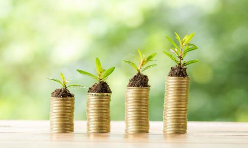 loan adviser undefined
