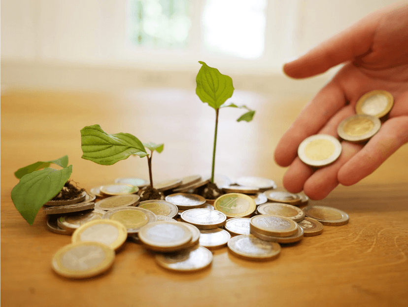 loan adviser undefined