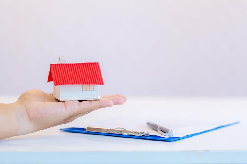 loan adviser undefined