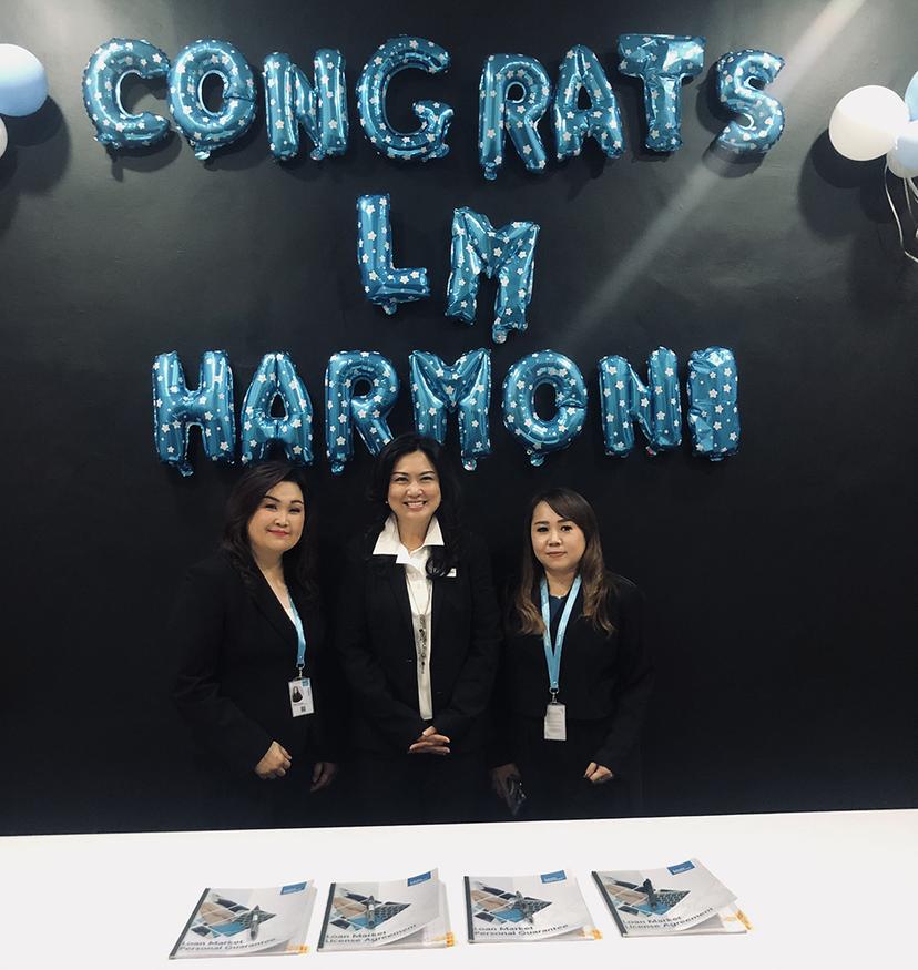 loan adviser undefined