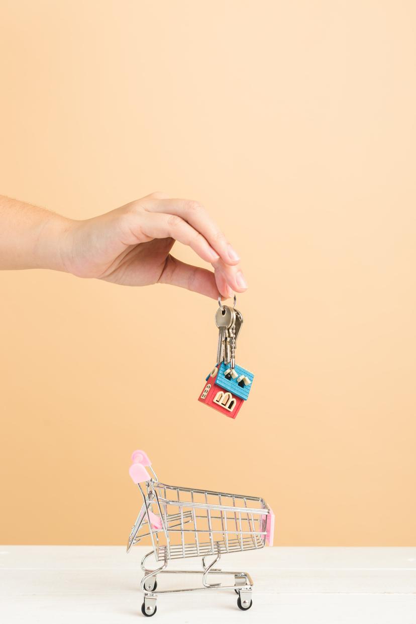 loan adviser undefined