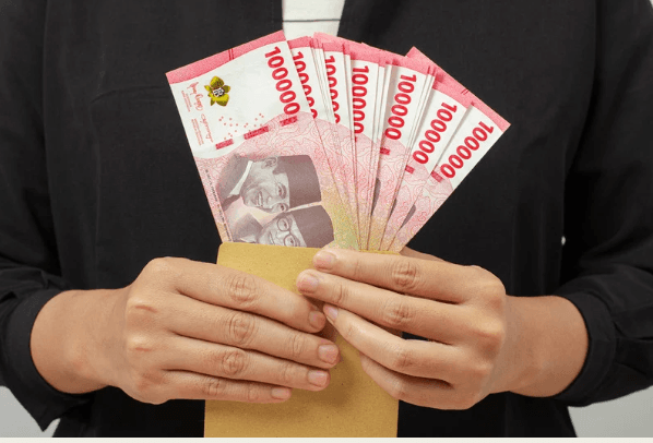 loan adviser undefined