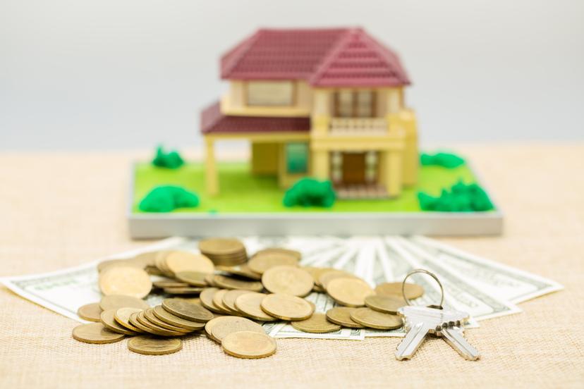 loan adviser undefined