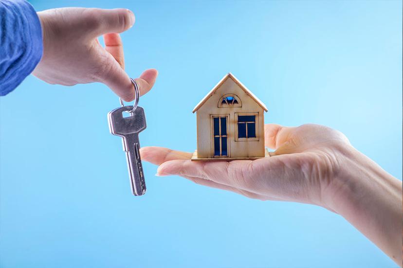 loan adviser undefined