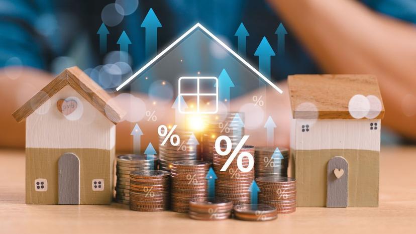 loan adviser undefined