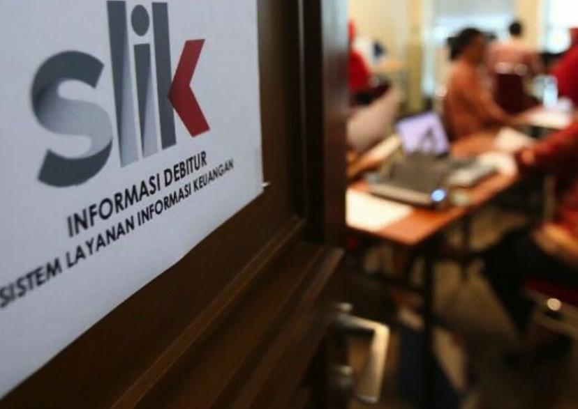 loan adviser undefined